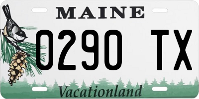 ME license plate 0290TX