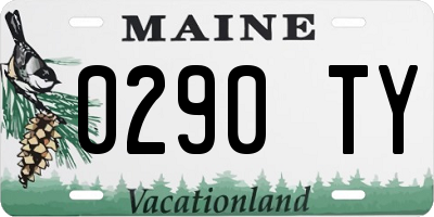 ME license plate 0290TY