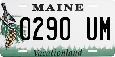 ME license plate 0290UM