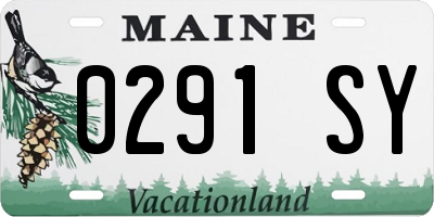 ME license plate 0291SY