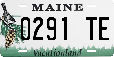 ME license plate 0291TE