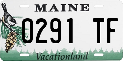 ME license plate 0291TF