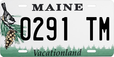 ME license plate 0291TM