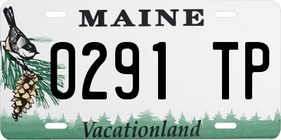 ME license plate 0291TP