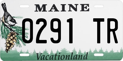 ME license plate 0291TR