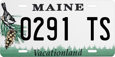 ME license plate 0291TS