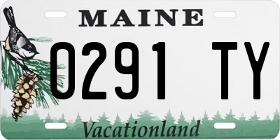 ME license plate 0291TY