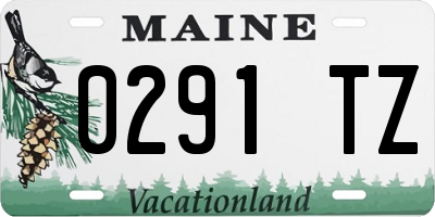 ME license plate 0291TZ