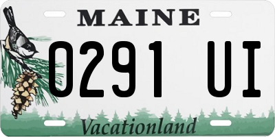 ME license plate 0291UI