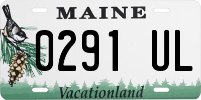 ME license plate 0291UL