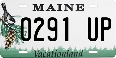 ME license plate 0291UP