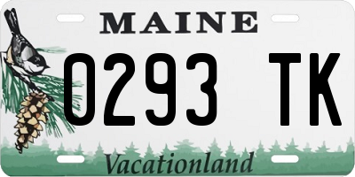 ME license plate 0293TK