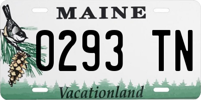 ME license plate 0293TN