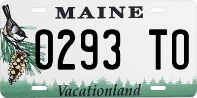 ME license plate 0293TO