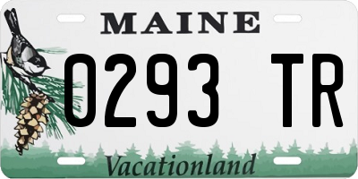 ME license plate 0293TR