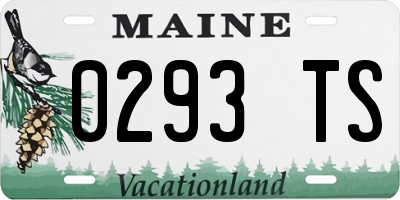 ME license plate 0293TS