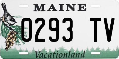 ME license plate 0293TV