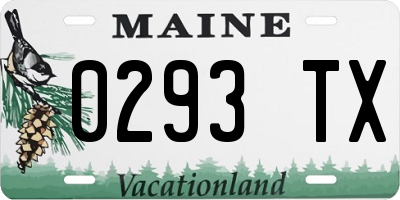 ME license plate 0293TX