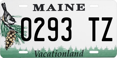 ME license plate 0293TZ