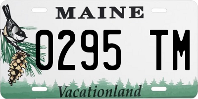 ME license plate 0295TM
