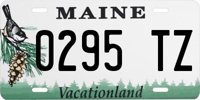 ME license plate 0295TZ
