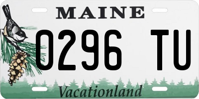ME license plate 0296TU