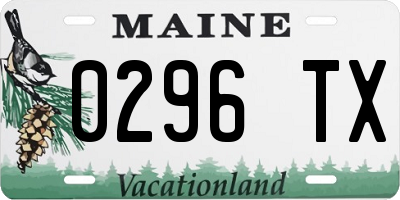 ME license plate 0296TX