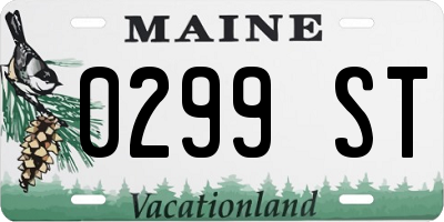 ME license plate 0299ST