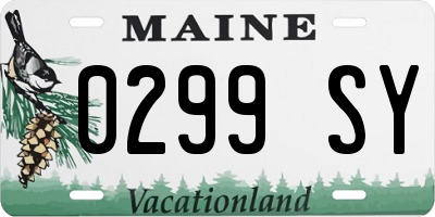 ME license plate 0299SY