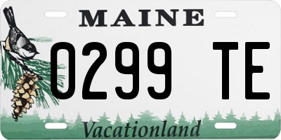 ME license plate 0299TE