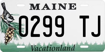 ME license plate 0299TJ
