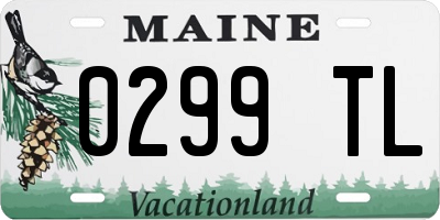 ME license plate 0299TL