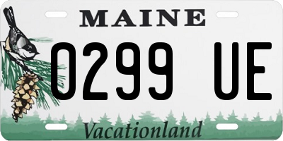 ME license plate 0299UE
