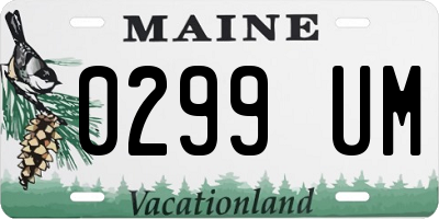 ME license plate 0299UM