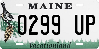 ME license plate 0299UP