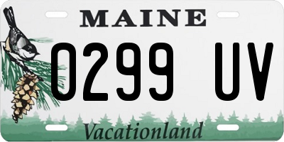 ME license plate 0299UV