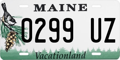 ME license plate 0299UZ