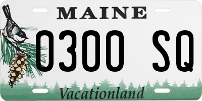ME license plate 0300SQ