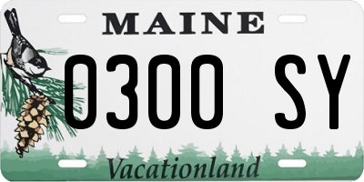 ME license plate 0300SY