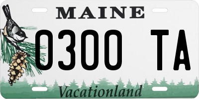 ME license plate 0300TA
