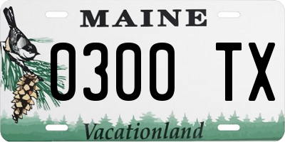 ME license plate 0300TX
