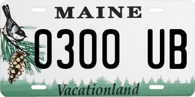 ME license plate 0300UB