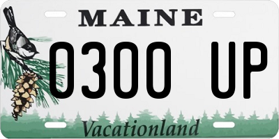 ME license plate 0300UP