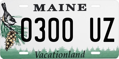 ME license plate 0300UZ