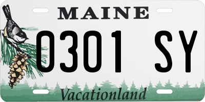 ME license plate 0301SY
