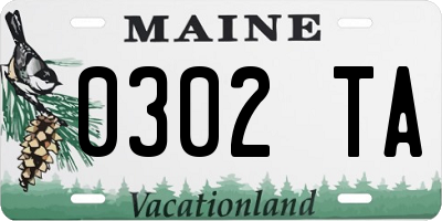 ME license plate 0302TA