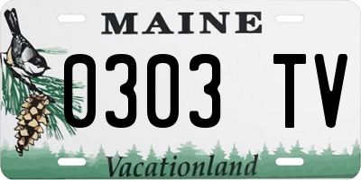 ME license plate 0303TV