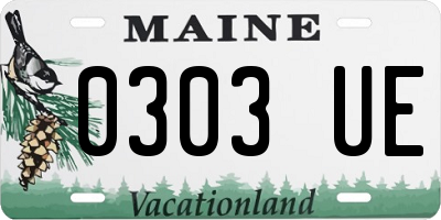 ME license plate 0303UE