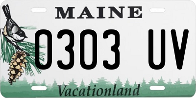 ME license plate 0303UV