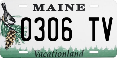 ME license plate 0306TV